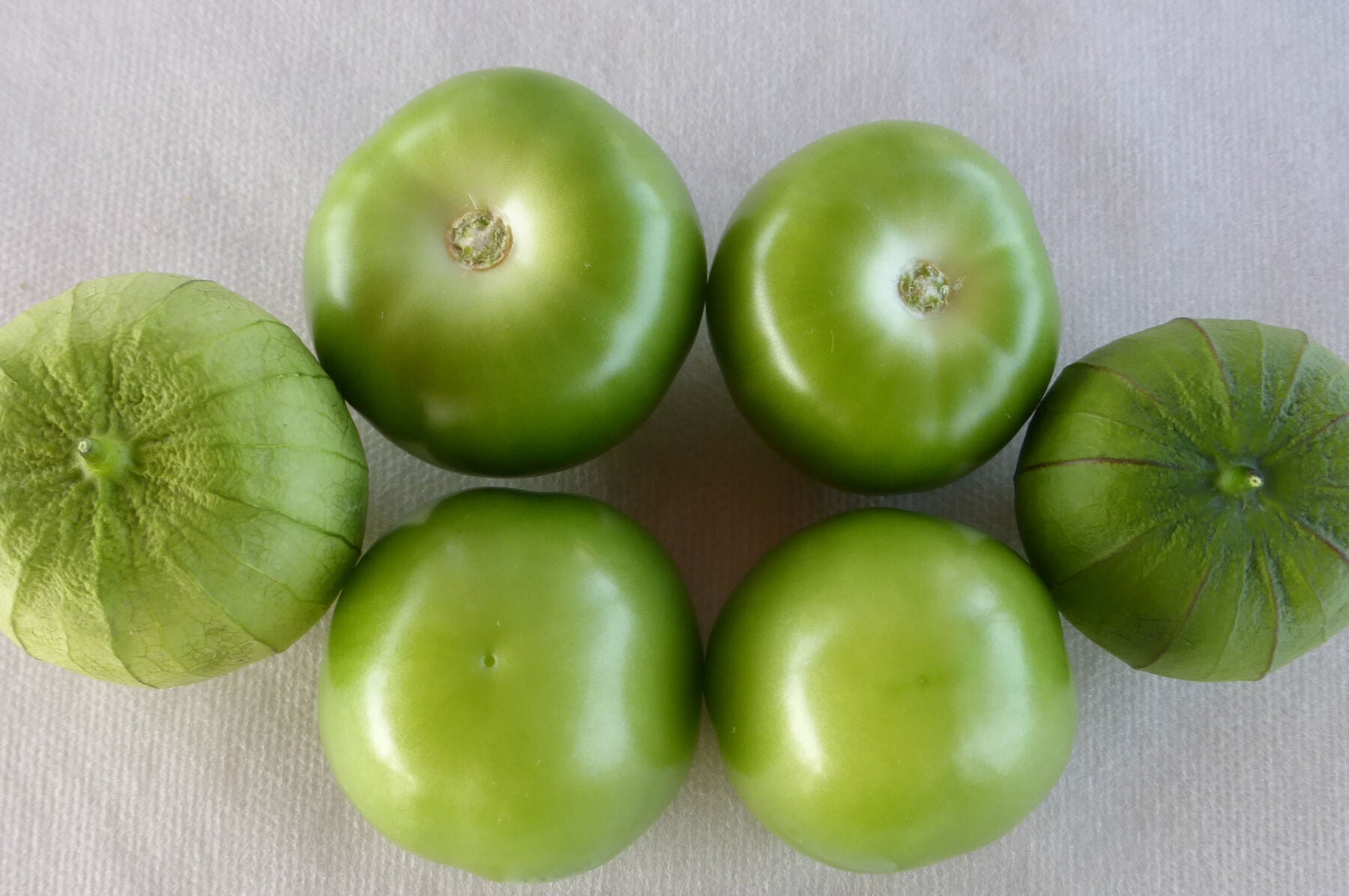 Pancho – Tomatillo Seed